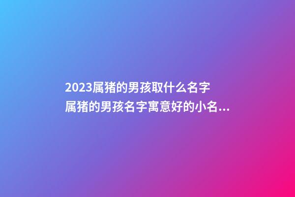 2023属猪的男孩取什么名字 属猪的男孩名字寓意好的小名大全